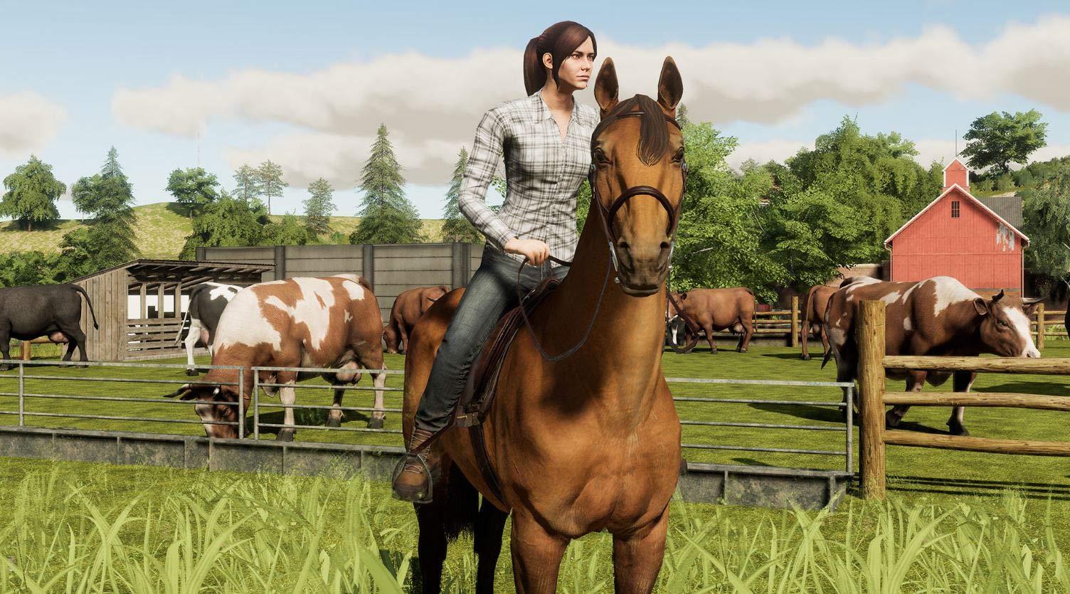 Farming Simulator 19 - Édition Premium Farming Simulator 19 - Édition Premium